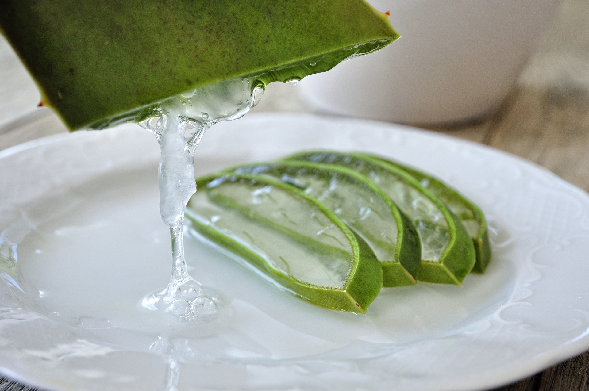 Aloe vera, a csodaszer